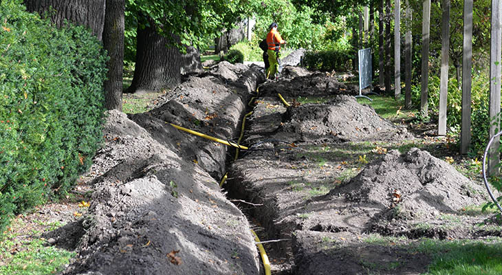 Arbete med skydd av träd vid gräv- och byggarbeten